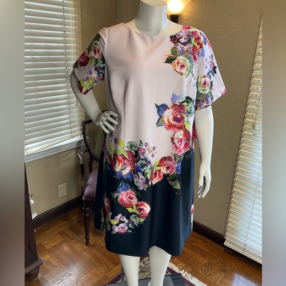 Adrianna Papell Boat Neck Short Sleeve Rose Print A-Line Dress sz 20W NWT